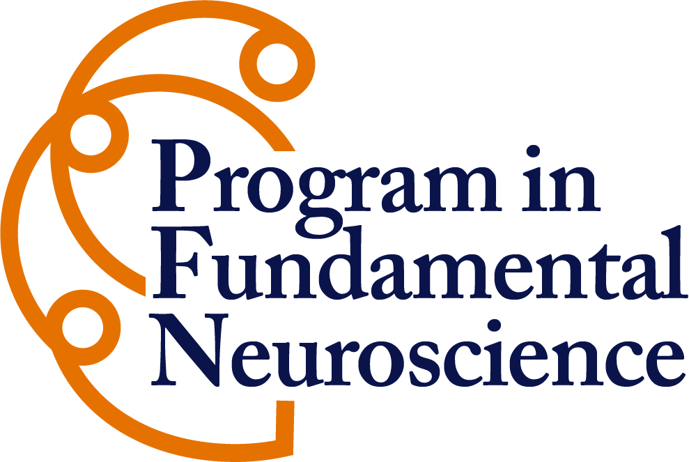 Program in Fundamental Neuroscience