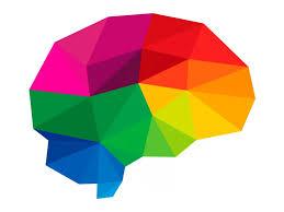 Brain with Color