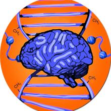 Connelly Lab logo